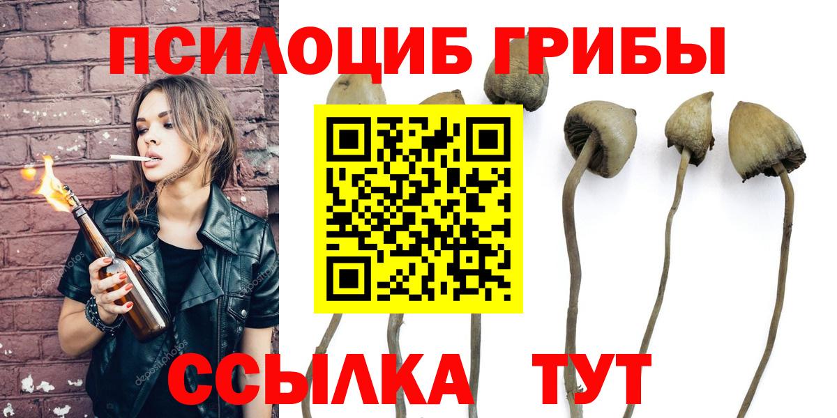 Псилоцибиновые грибы мицелий  Псилоцибиновые грибы GOLDEN TEACHER  Вход с VPN  Асино 